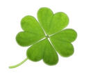 🍀